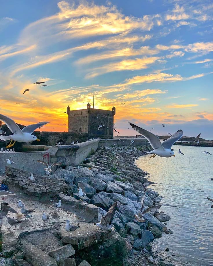 Essaouira day tour