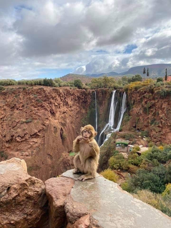 ouzoud waterfalls day tour