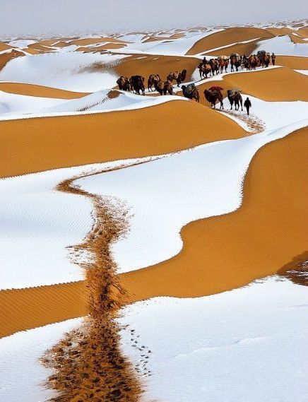 3 DAYS 2 NIGHTS SAHARA DESERT TOUR